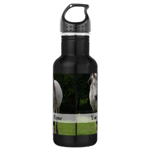 Cute pony photograph stainless steel water bottle