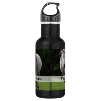 Cute pony photograph stainless steel water bottle