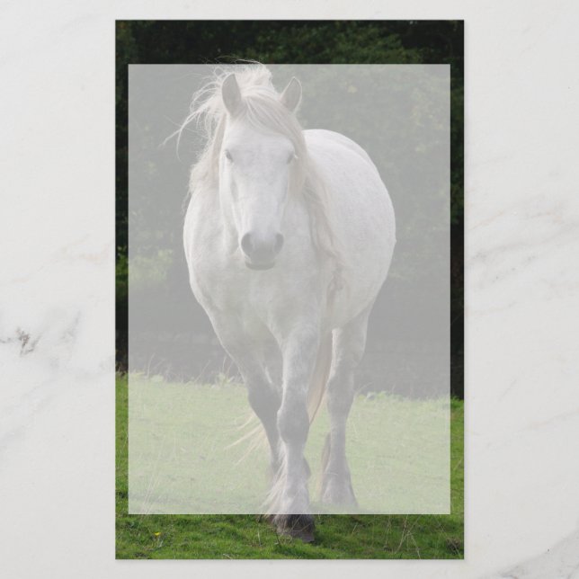 Cute pony photograph stationery (Front)