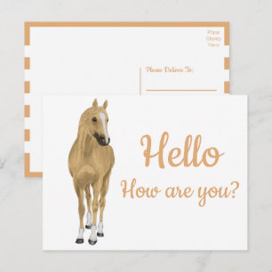 Cute Pony Western Watercolor Horse Hello Postcard