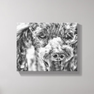 Cute Poodle Dog Face Eyes Tongue Canvas Print