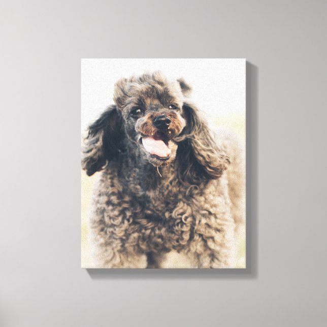 Cute Poodle Dog Face Smile Smiling Canvas Print (Front)