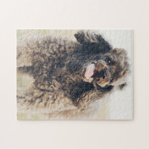 Cute Poodle Dog Face Smile Smiling Jigsaw Puzzle | Zazzle