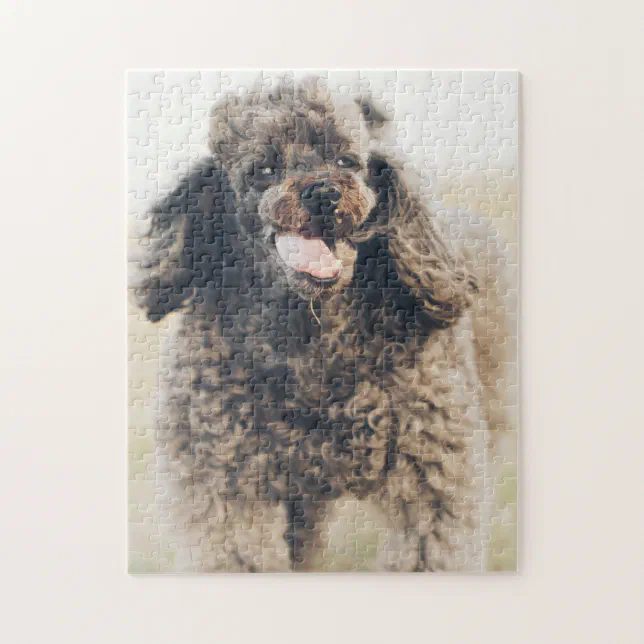 Cute Poodle Dog Face Smile Smiling Jigsaw Puzzle | Zazzle