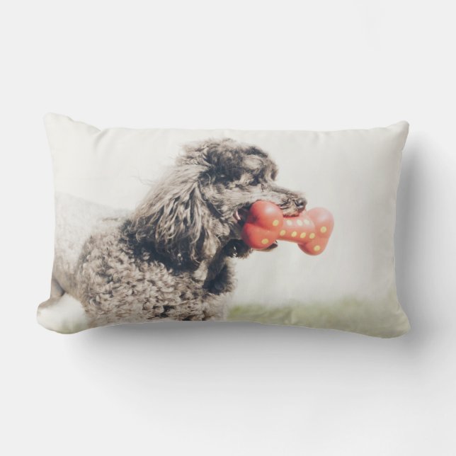 Cute Poodle Dog Face Toy Bone Lumbar Pillow (Front)