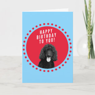 Cute Poodle Dog Happy Birthday Red Dots Circle Card