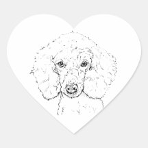 Cute Poodle Dog Illustration, Hand Drawn