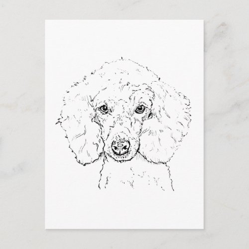 Cute Poodle Dog Illustration, Hand Drawn Postcard