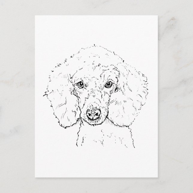 Cute Poodle Dog Illustration, Hand Drawn Postcard (Front)
