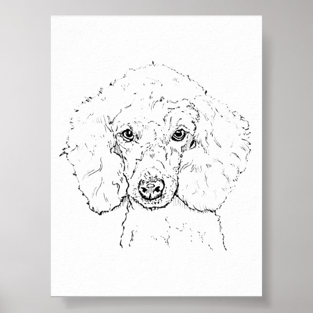 Cute Poodle Dog Illustration, Hand Drawn Poster (Front)