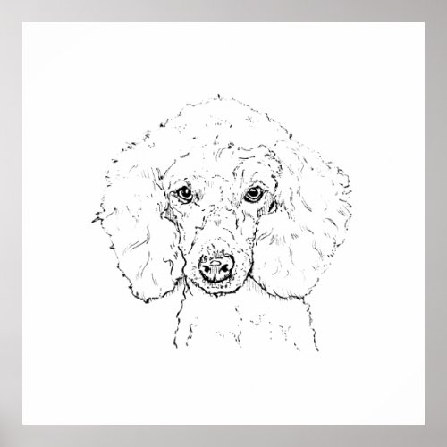 Cute Poodle Dog Illustration, Hand Drawn Poster