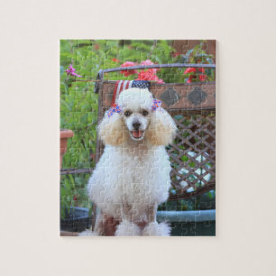 Cute Poodle Dog Jigsaw puzzle