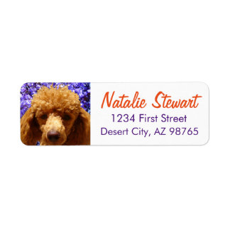 Cute Poodle Label