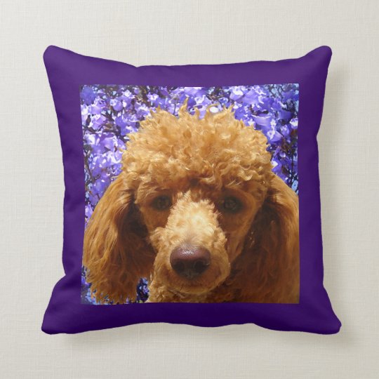 poodle throw pillows