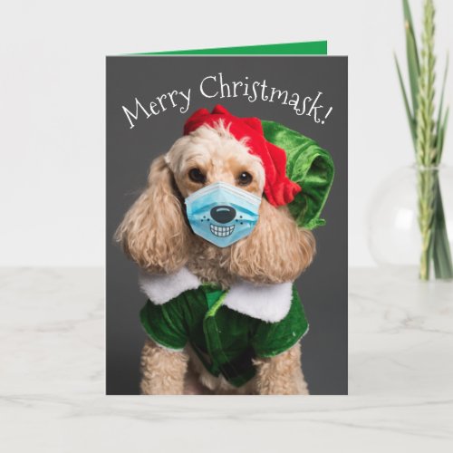 Cute Poodle With Face Mask_ Merry Christmask Holiday Card