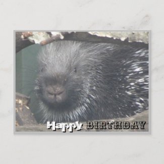 Cute Porcupine Face DIY Happy Birthday Postcard