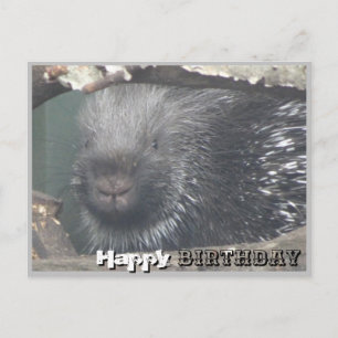 Cute Porcupine Face DIY Happy Birthday Postcard
