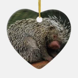 Cute Porcupine Ornament