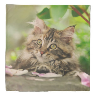 Cute Portrait Maine Coon Cat Kitten Photo  Bedding Duvet Cover