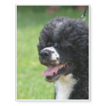 Cute Portuguese Water Dog Temporary Tattoos