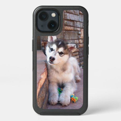 Cute Posing Alaskan Malamute Puppy Photograph iPhone 13 Case