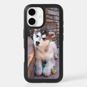 Cute Posing Alaskan Malamute Puppy Photograph iPhone 16 Case