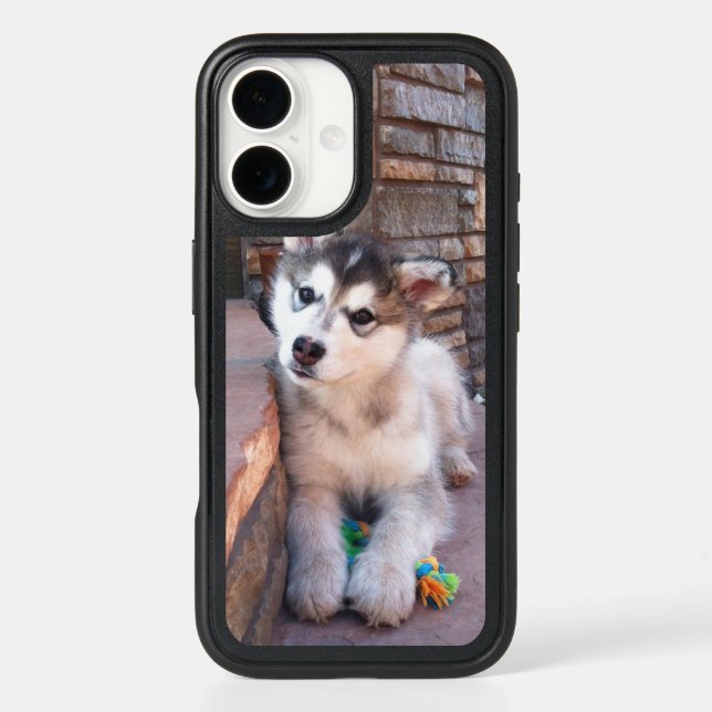 Cute Posing Alaskan Malamute Puppy Photograph Otterbox iPhone Case (Back)