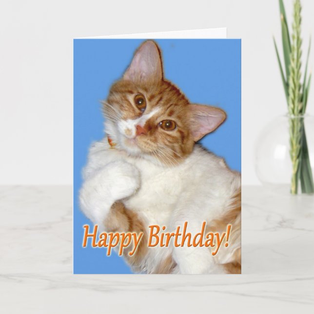 Cute Posing Cat - Birthday General Card (Front)