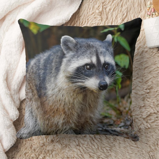 Cute Posing North American Raccoon Throw Pillow (Blanket)