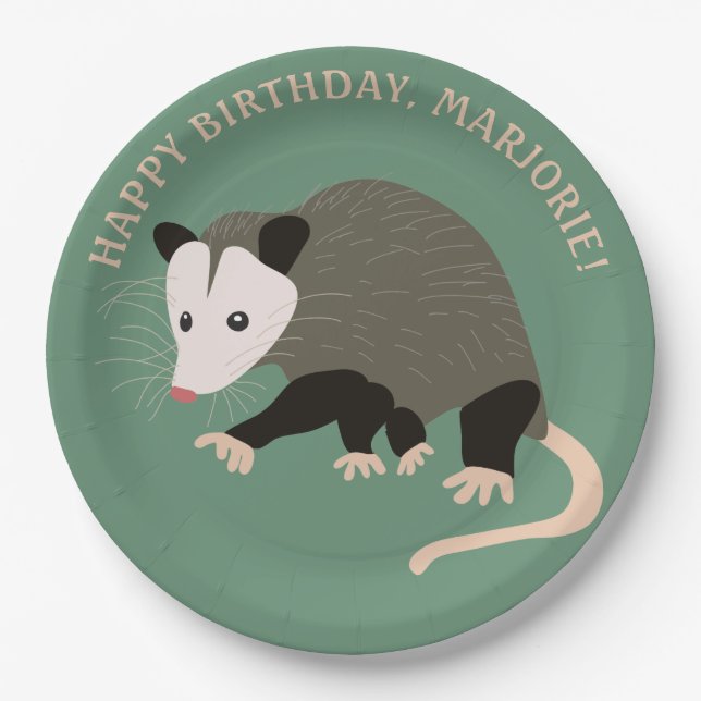 Cute Possum Illustration Light Green Personalized Paper Plates (Front)