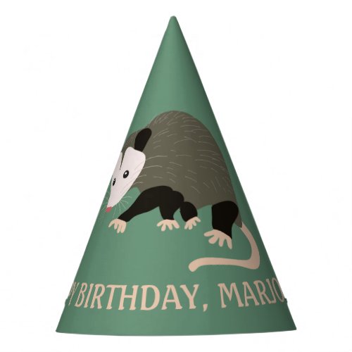Cute Possum Illustration Light Green Personalized Party Hat