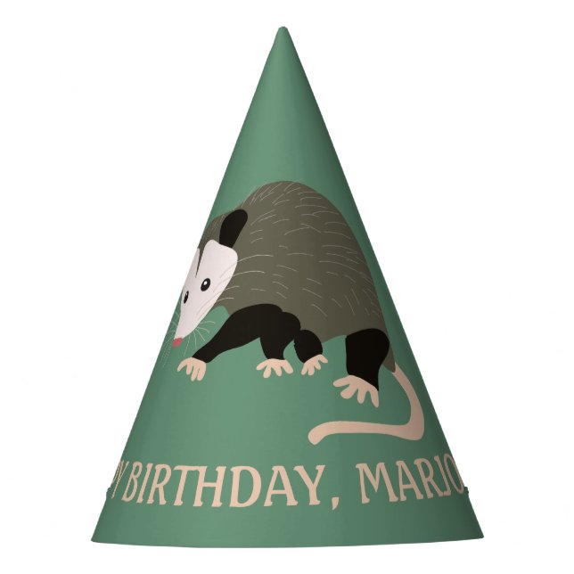 Cute Possum Illustration Light Green Personalized Party Hat (Front)