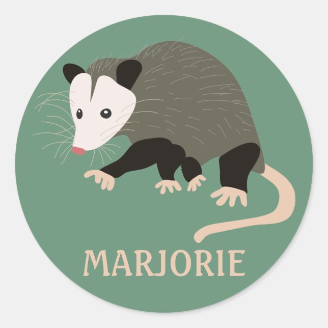 Cute Possum Illustration Personalized Light Green Classic Round Sticker (Front)