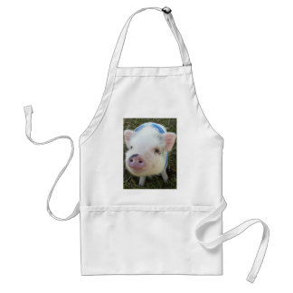 Cute Pot Belly Pig Adult Apron