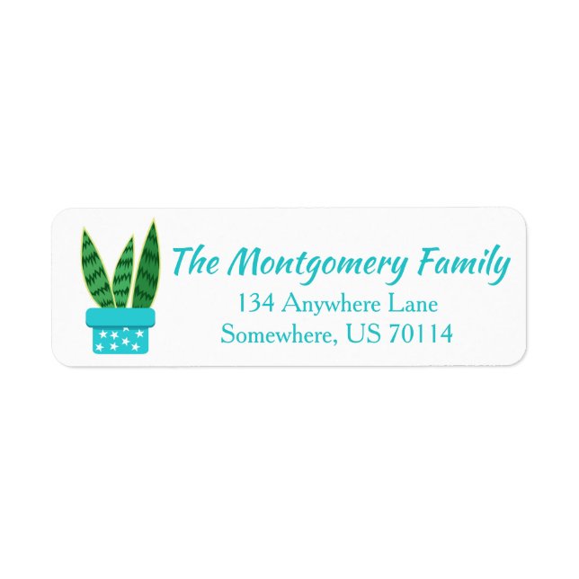 Cute Potted Succulent Snake Plant & White Stars Label (Front)