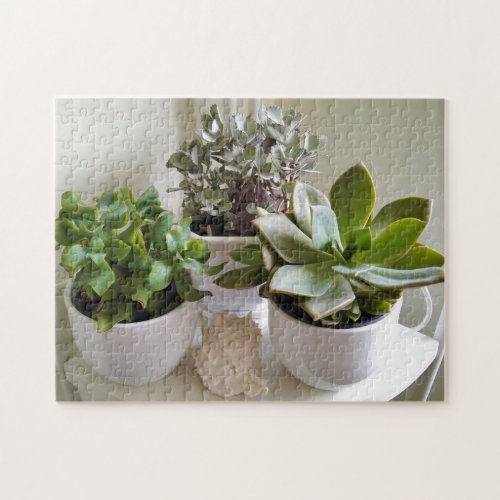 Cute Potted Succulents with Seashell Photo Jigsaw Puzzle