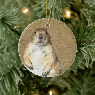 Cute Prairie Dog Ornament