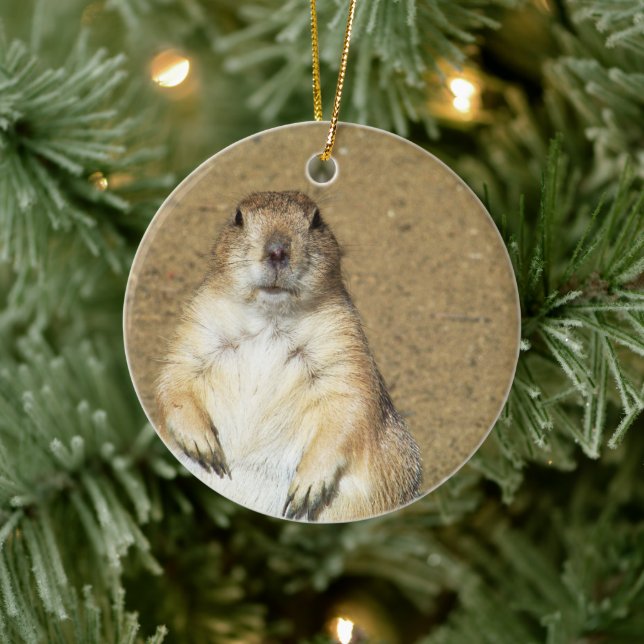 Cute Prairie Dog Ornament (Tree)