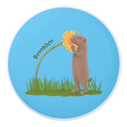 Cute prairie dog sniffing flower cartoon ceramic knob