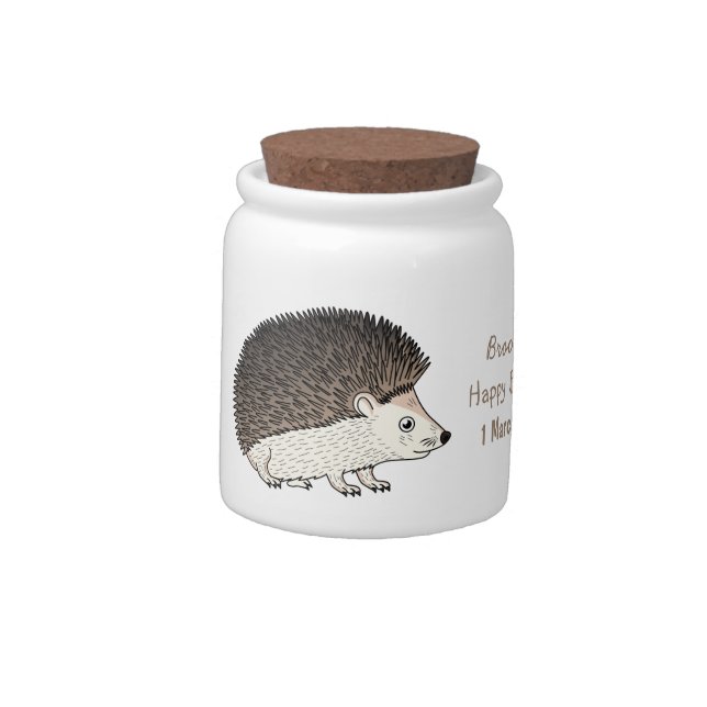 Cute prickly hedgehog cartoon illustration candy jar (Left)