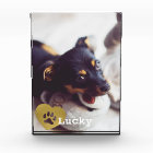 Cute Printed Gold Paw Print Pet Photo