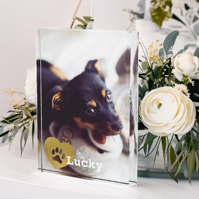 Cute Printed Gold Paw Print Pet Photo Block (Creator Uploaded)