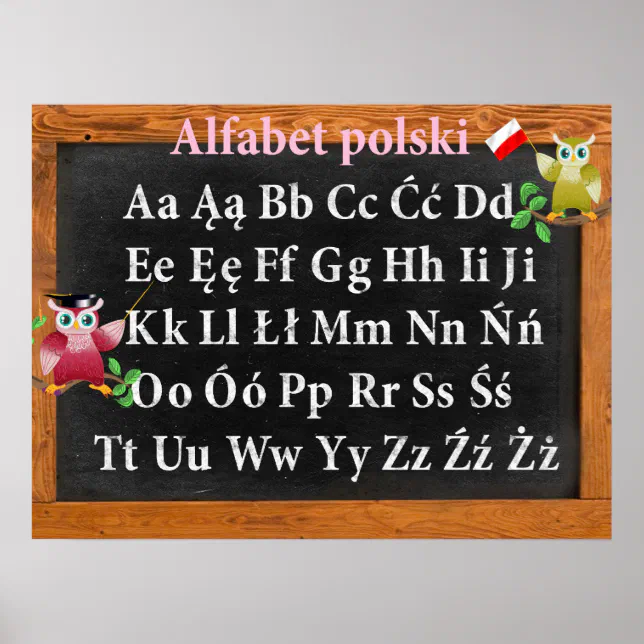 Cute Professor Owl Polish Alphabet Alfabet polski Poster | Zazzle