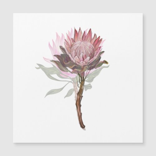 Cute protea flower