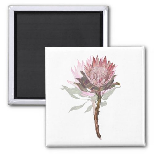 Cute protea flower magnet