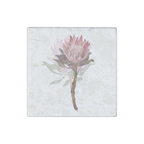 Cute protea flower stone magnet