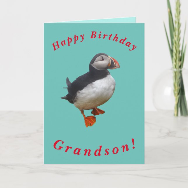 Cute Puffin Birthday Card for Grandson (Front)