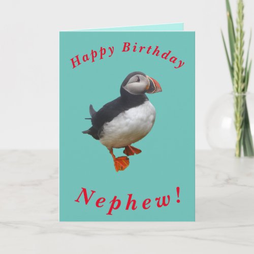 Cute Puffin Birthday Card for Nephew