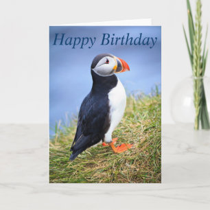 Cute Puffin Happy Birthday Greeting Card