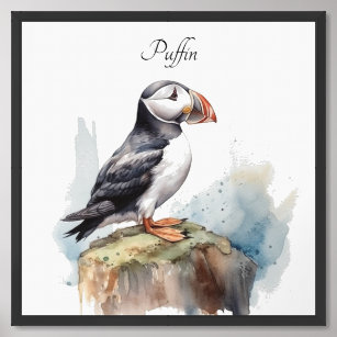 Cute Puffin on a rock in watercolor Framed Art